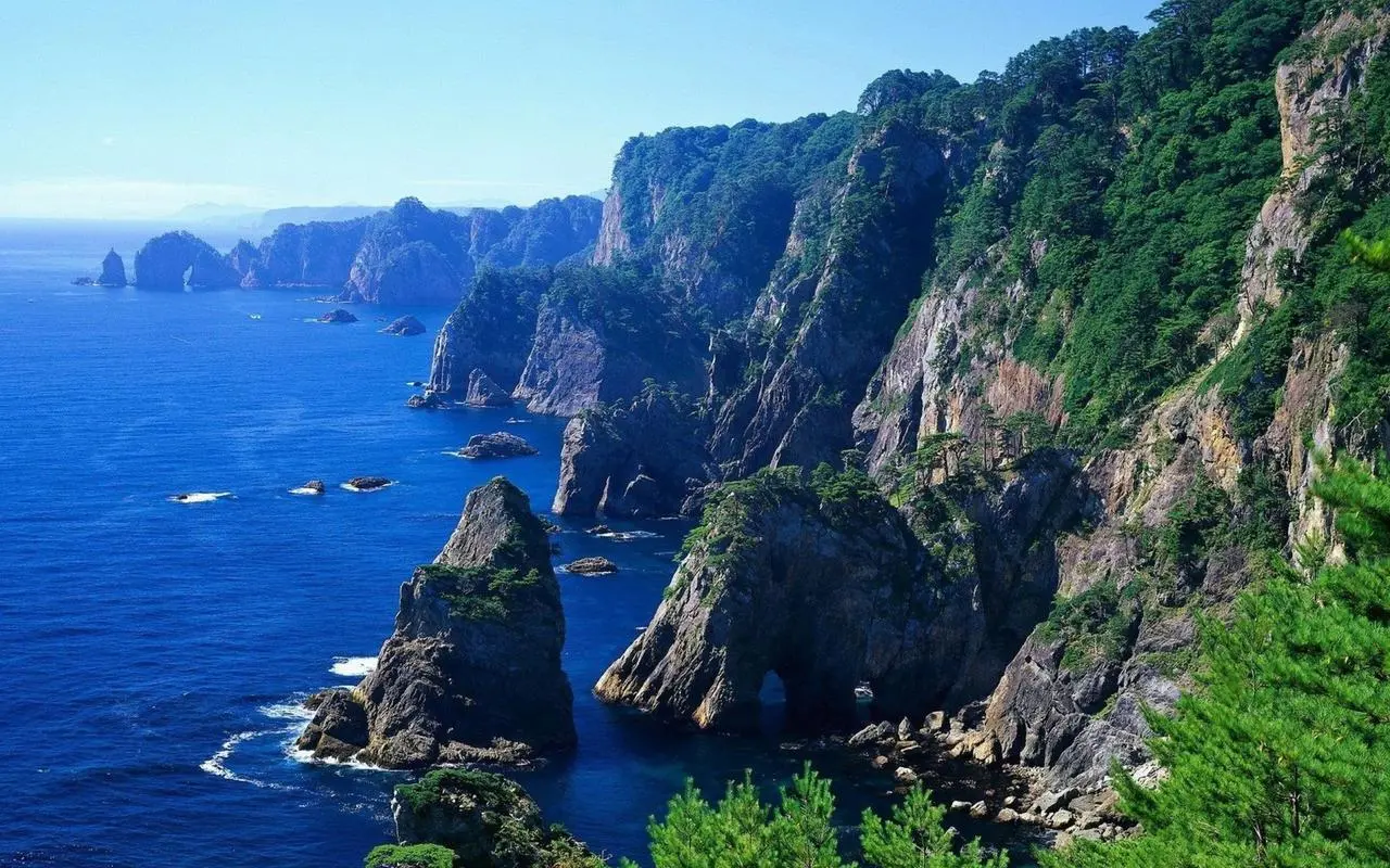 高精度自动化绿色